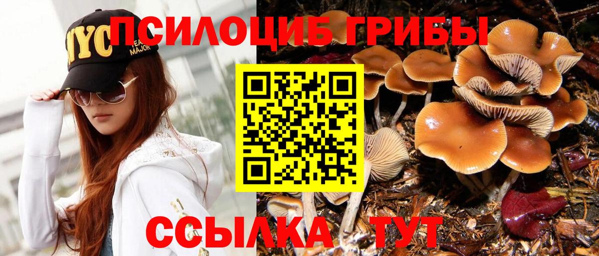 Галлюциногенные грибы GOLDEN TEACHER  Вход с VPN  Серов 