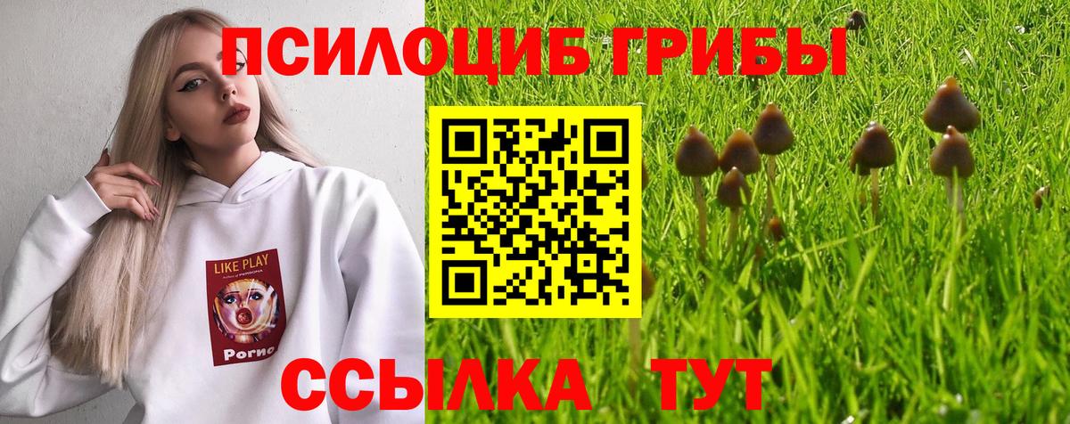 Галлюциногенные грибы мухоморы Серов